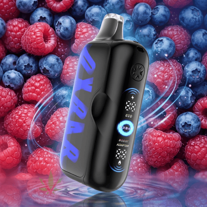 Oxbar G100K Disposable Vape - Blueberry Raspberry 100K Puffs / 20mg Okotoks Vape SuperStore Okotoks Alberta